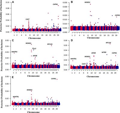 Predicting phenotypes of beef eating quality traits